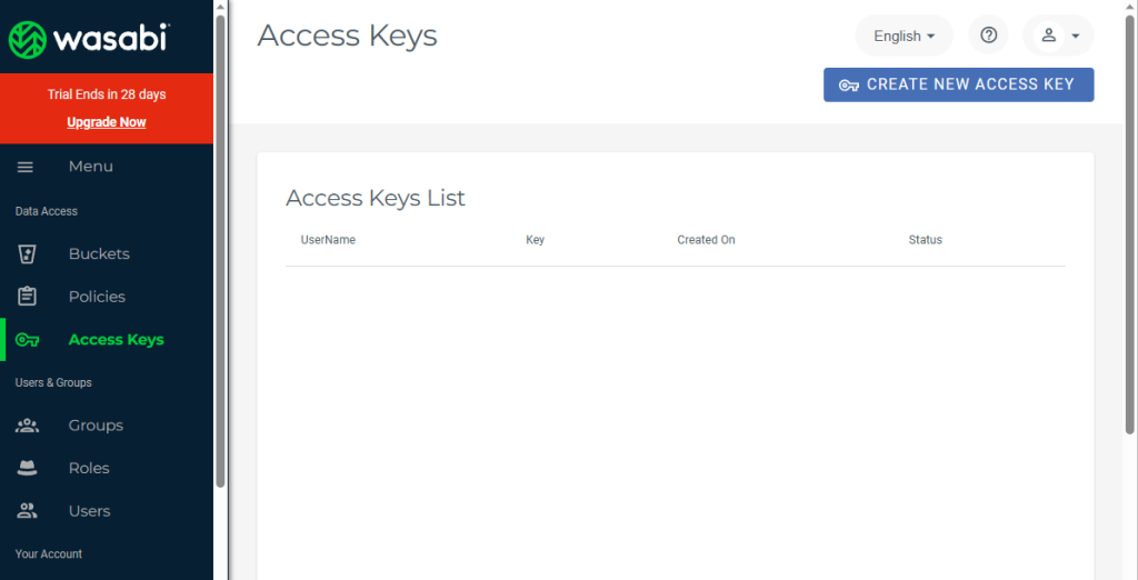 W10-Create New Access Key